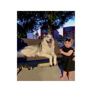 Meet your Posher, Genta